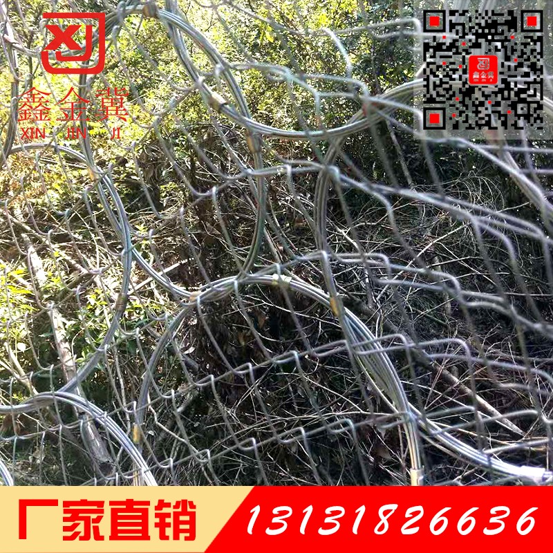 環(huán)形邊坡防護網(wǎng).jpg